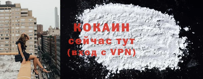 где купить наркоту  Красный Сулин  Cocaine Fish Scale 