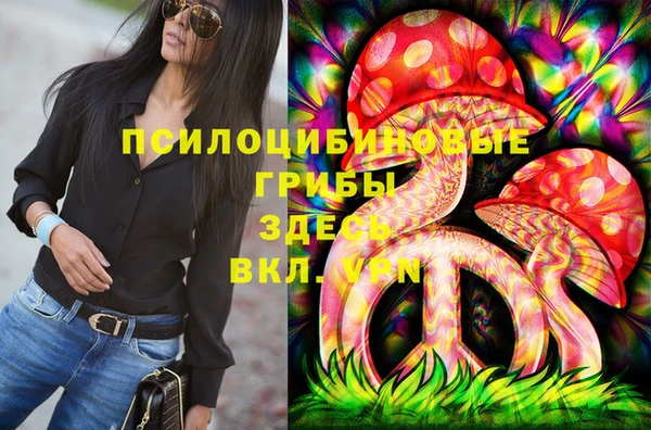 PSILOCYBIN Вязники