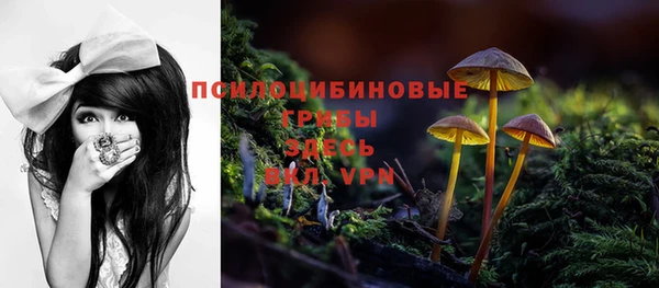 PSILOCYBIN Вязники